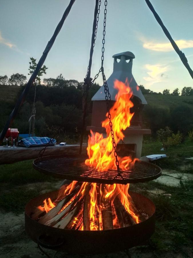 Domki W Bieszczadzkiej Dolinie Ustrzyki Dolne Exterior foto