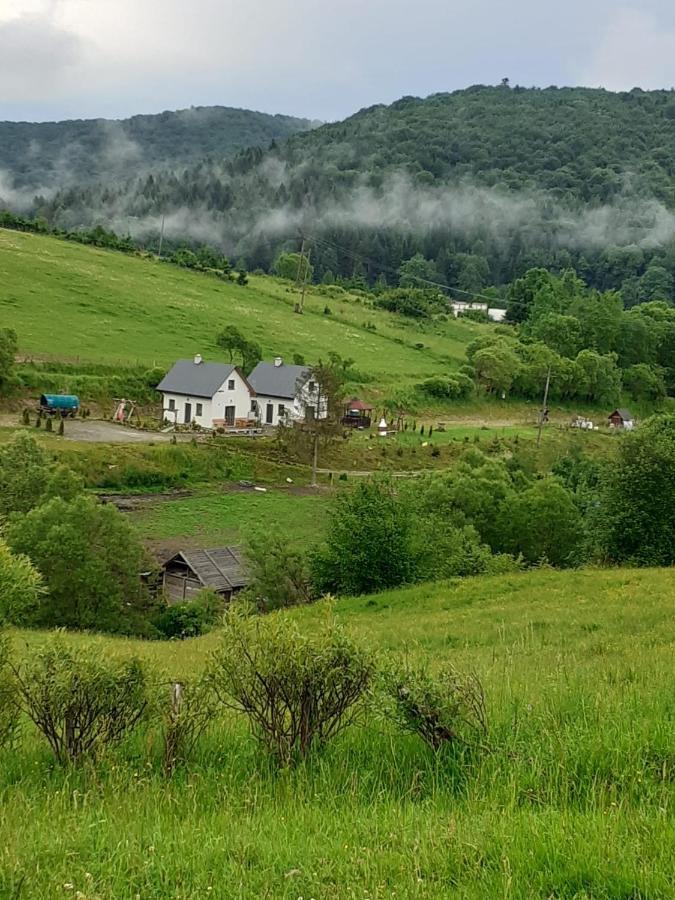 Domki W Bieszczadzkiej Dolinie Ustrzyki Dolne Exterior foto
